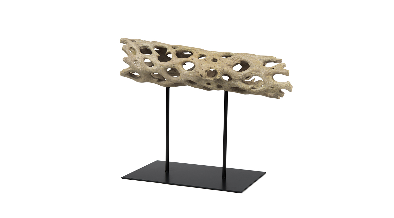 Dwell Cholla Wood Large