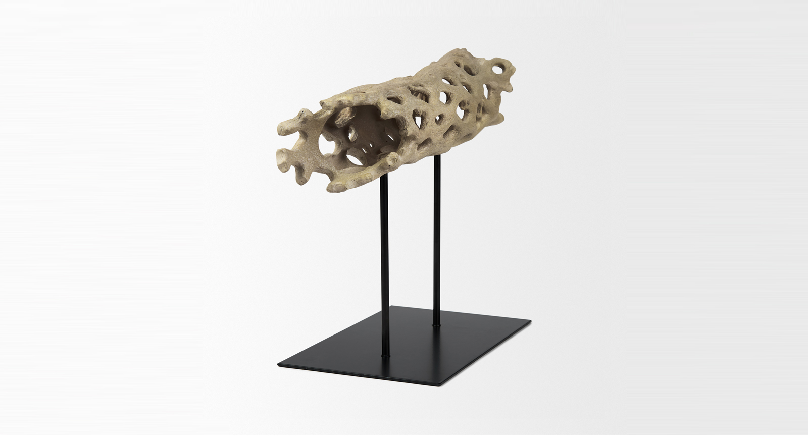 Dwell Cholla Wood Large - Image 3