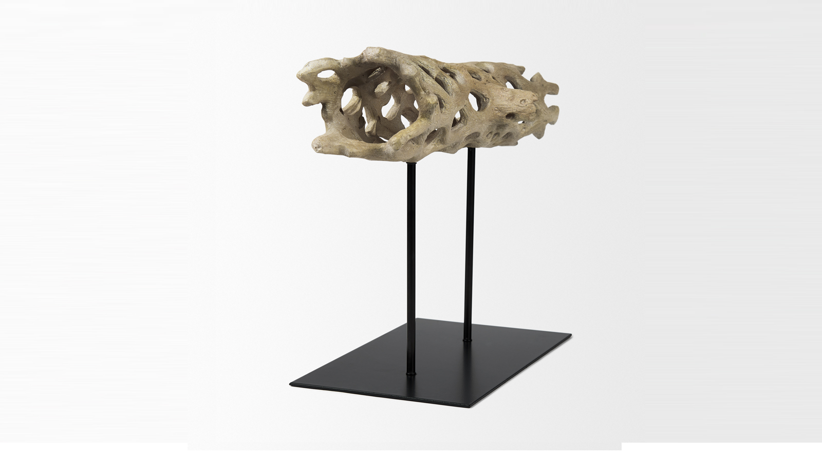 Dwell Cholla Wood Large - Image 6