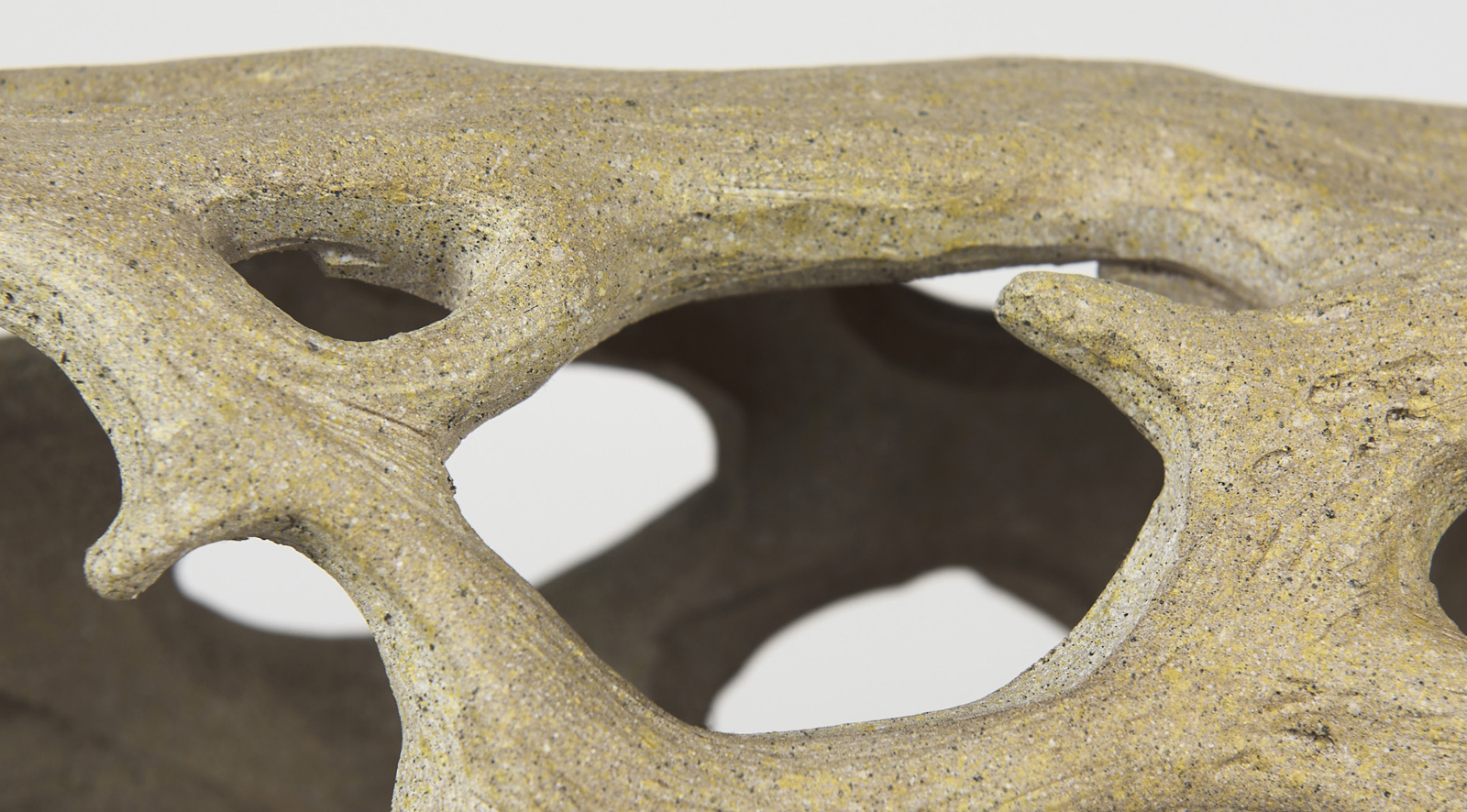 Dwell Cholla Wood Large - Image 10