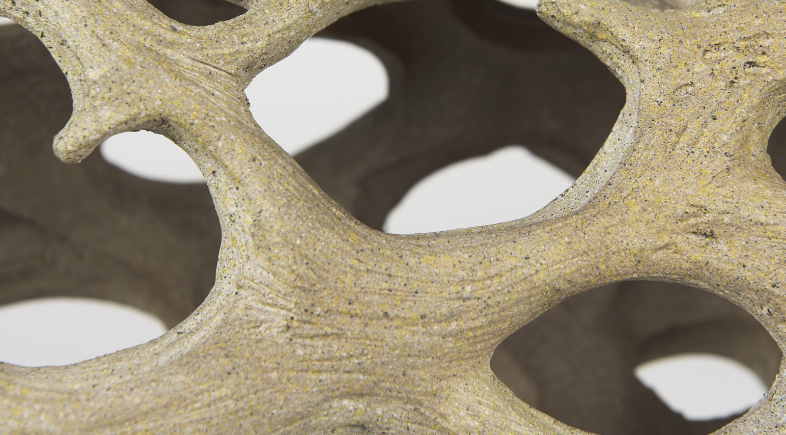 Dwell Cholla Wood Large - Image 9