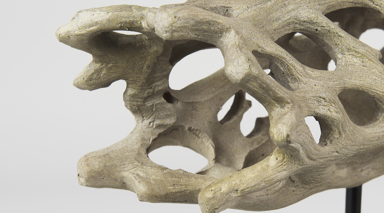 Dwell Cholla Wood Large - Image 8