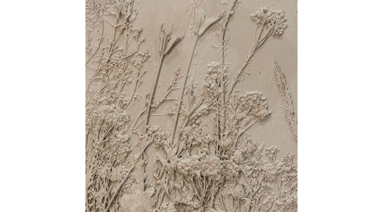 Effloresce II - Image 5