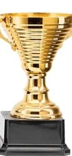award4 award4